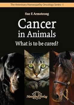洋書 Cancer in Animals - Sue E Armstrong Cancer in Animals - What is to be cured?: Sue Armstrong